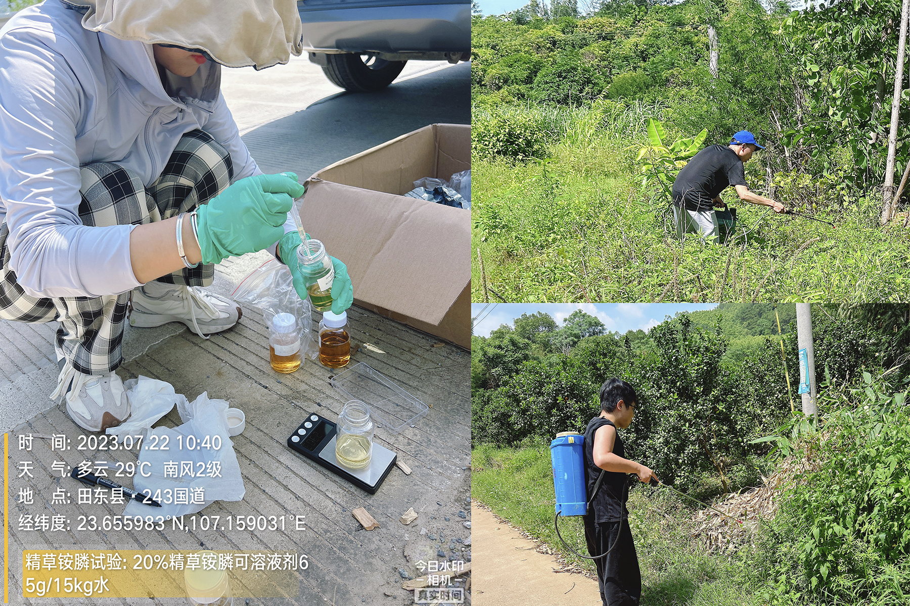 1690953341499069BOmz.jpg 1690953341499069BOmz.jpg