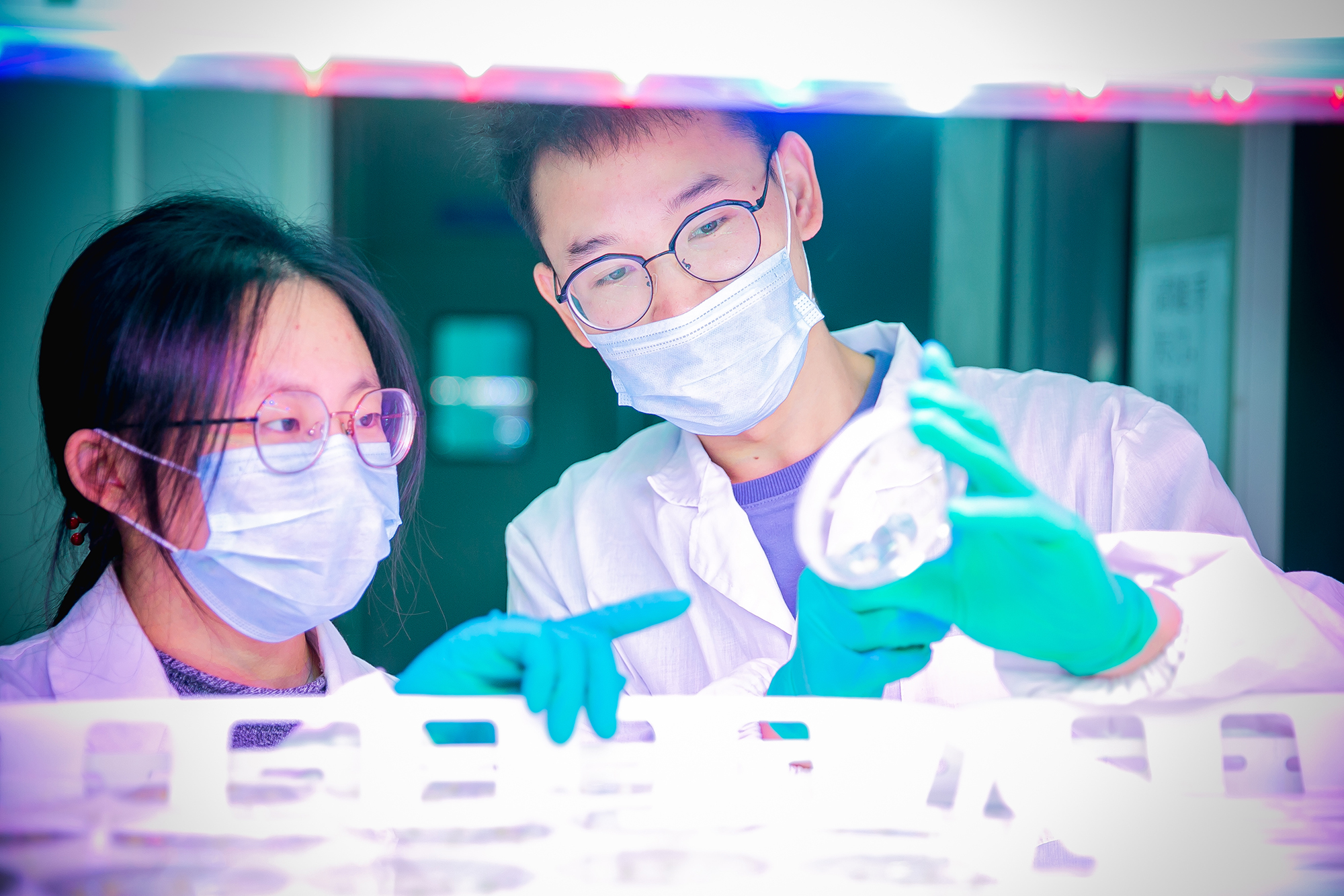 1695090264374928xb6W.jpg 1695090264374928xb6W.jpg