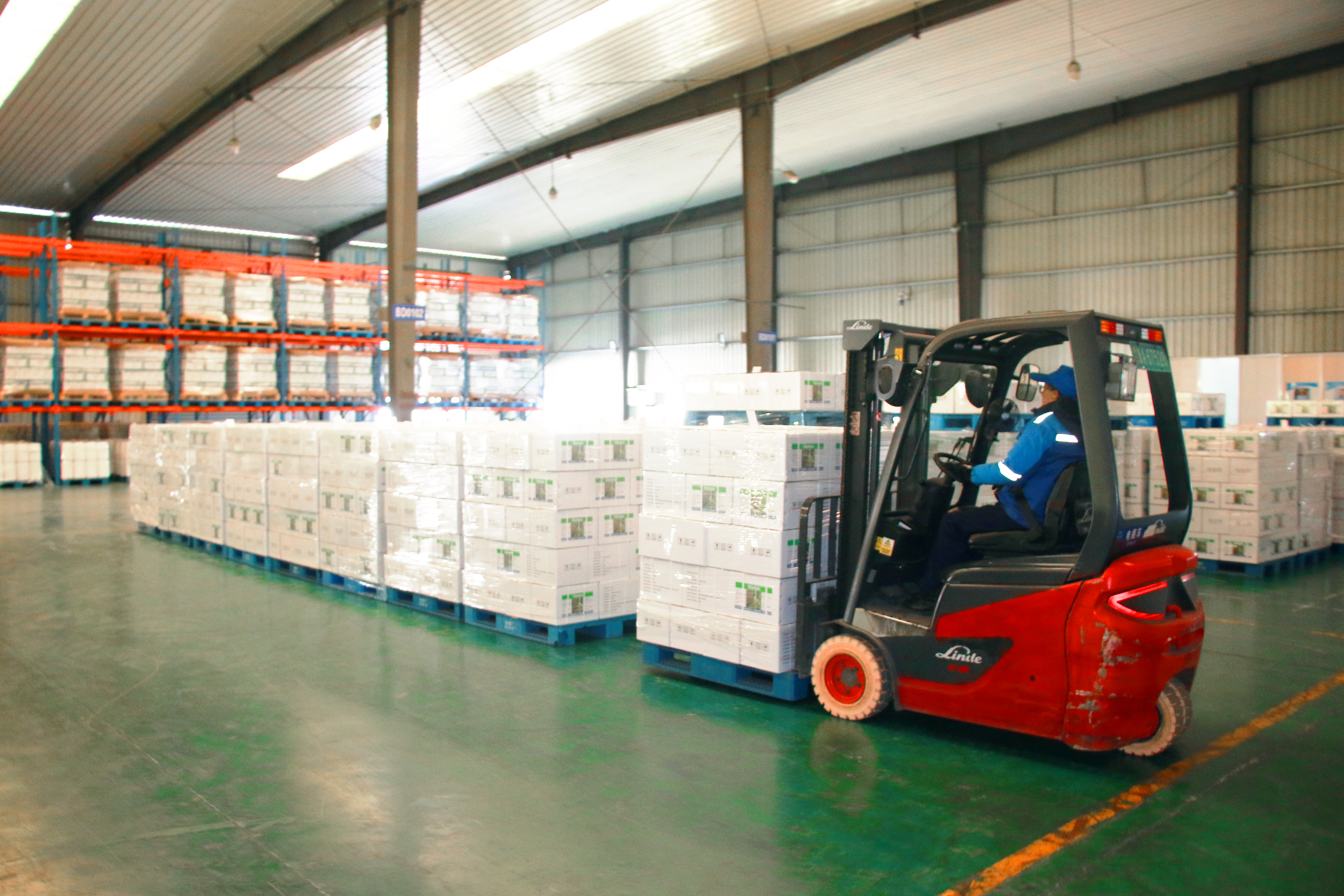 1709686127797710gF18.jpg 1709686127797710gF18.jpg