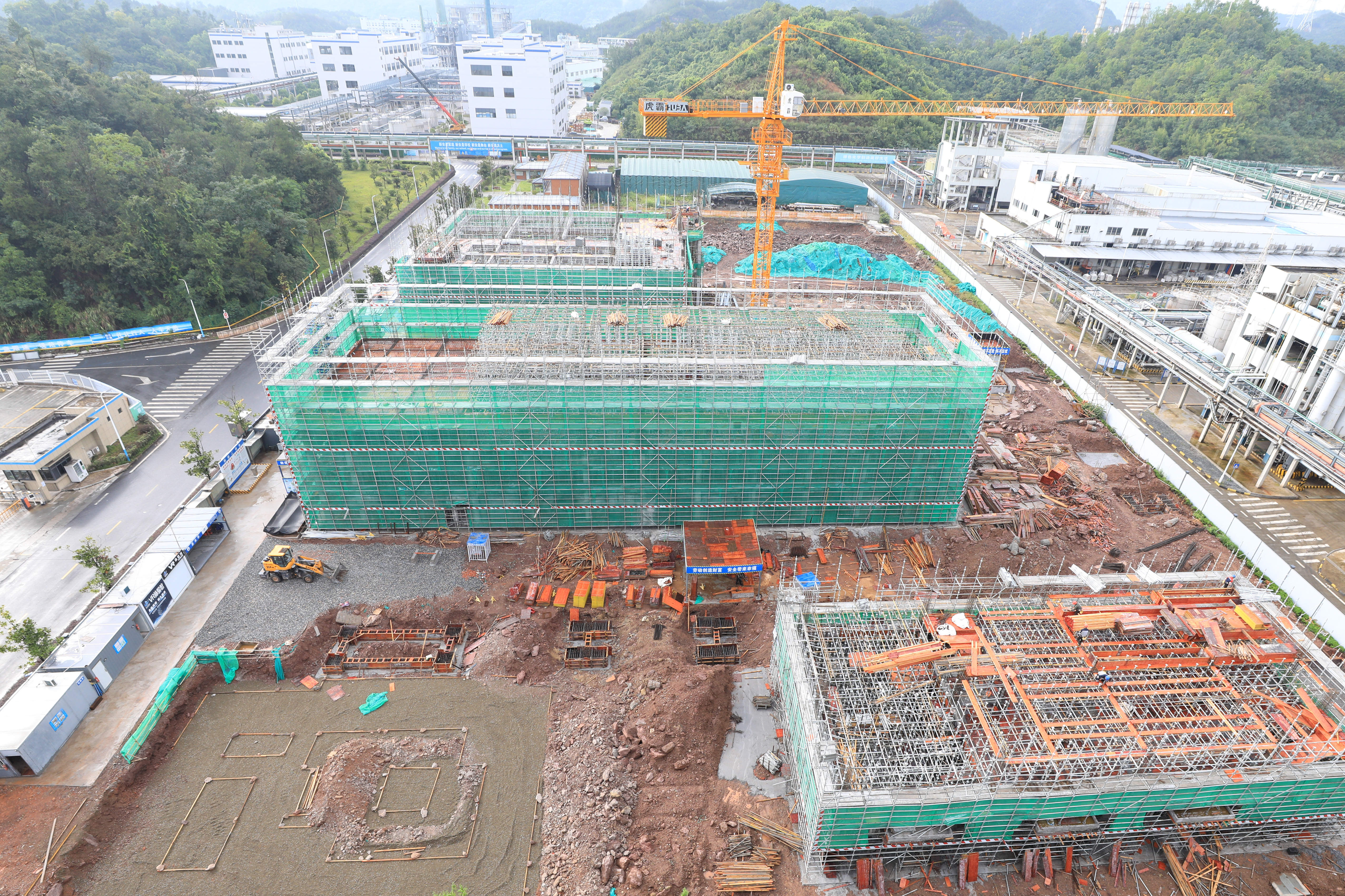 1718591638956548om5t.jpg 1718591638956548om5t.jpg