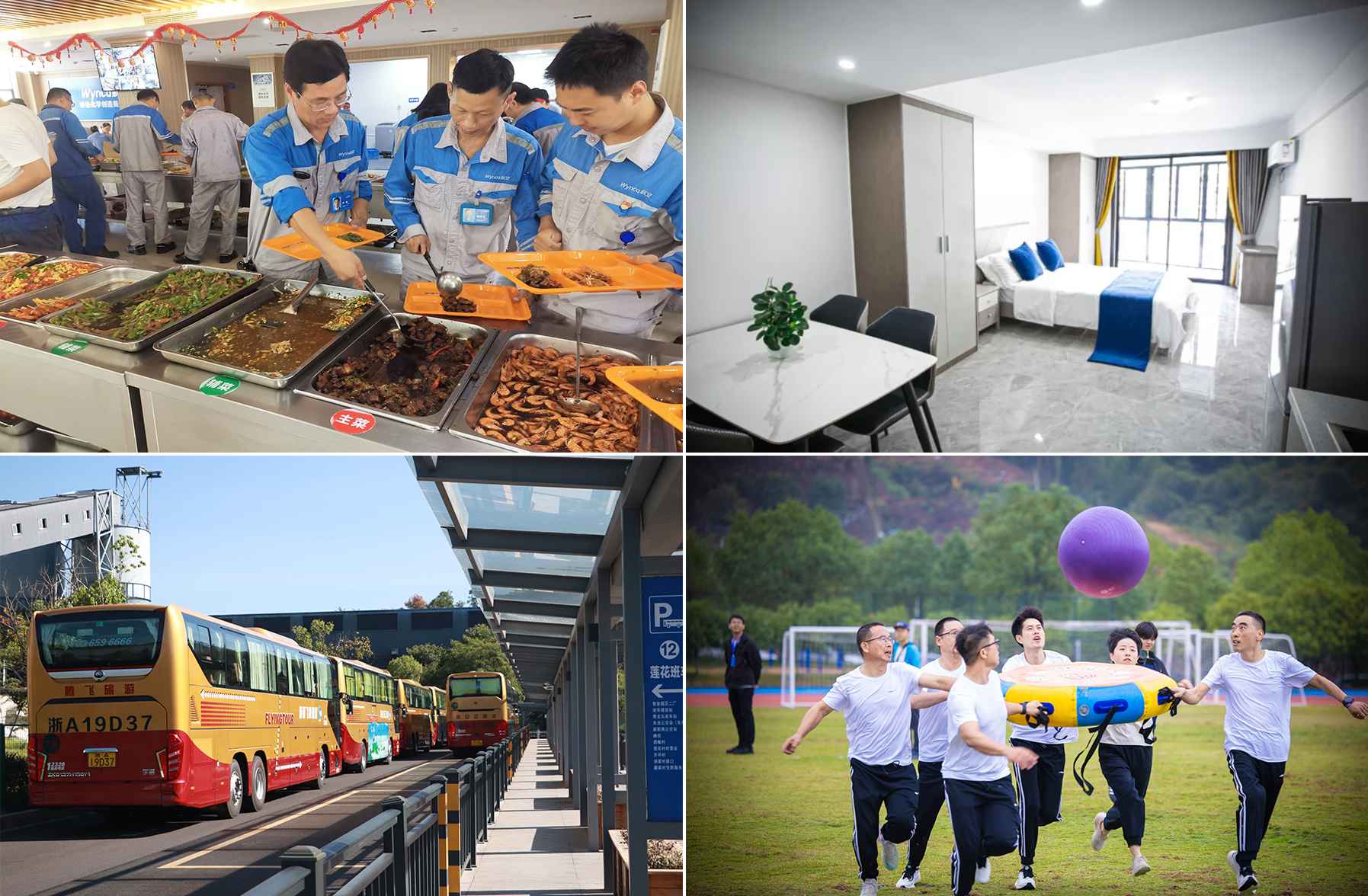 174012296036311532vZ.jpg 174012296036311532vZ.jpg